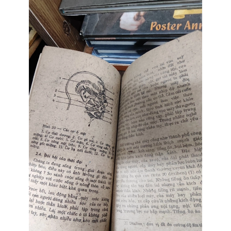 Từ sinh lý... đến dưỡng sinh - BS. Nguyễn Khắc Viện 1026197