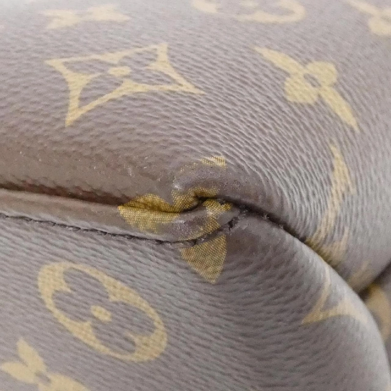 Túi Louis Vuitton Monogram Petit Palais PM M45900 614596