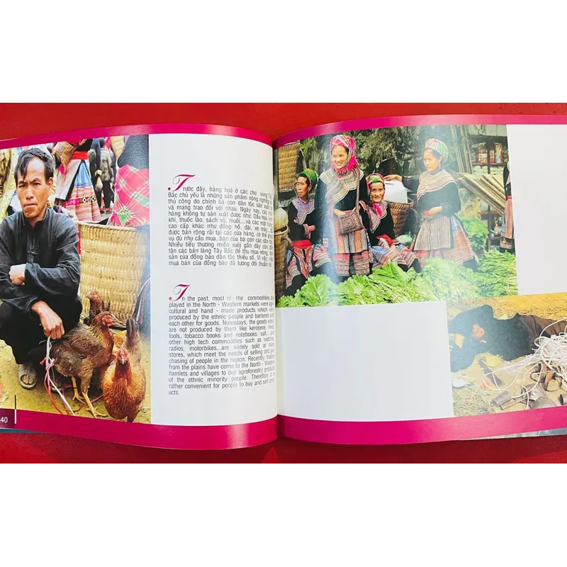 Tây Bắc Việt Nam 591003