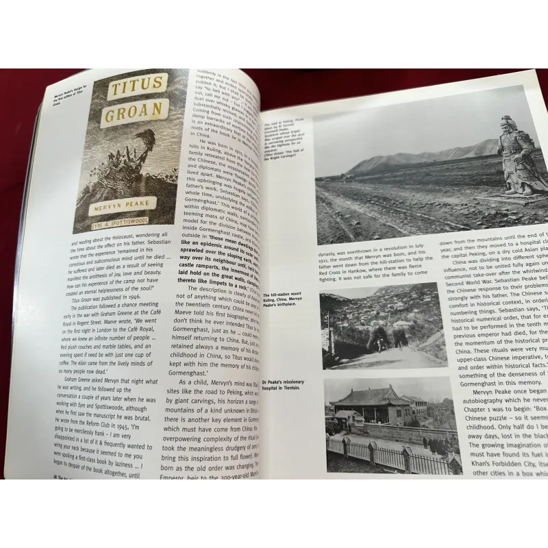 Sách ngoại văn tiếng Anh - The art of Gormenghast 926928