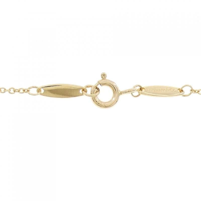 Dây chuyền Tiffany By The Yard - Hàng hiệu Authentic 843426