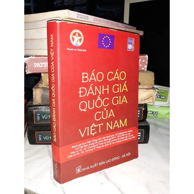 Báo cáo đánh giá quốc gia của Việt Nam 604178