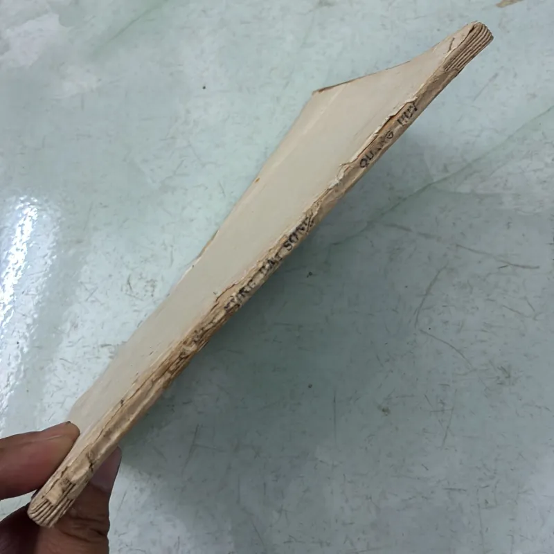 Ở một vùng bãi sông - Quang Huy - 1986s 998220