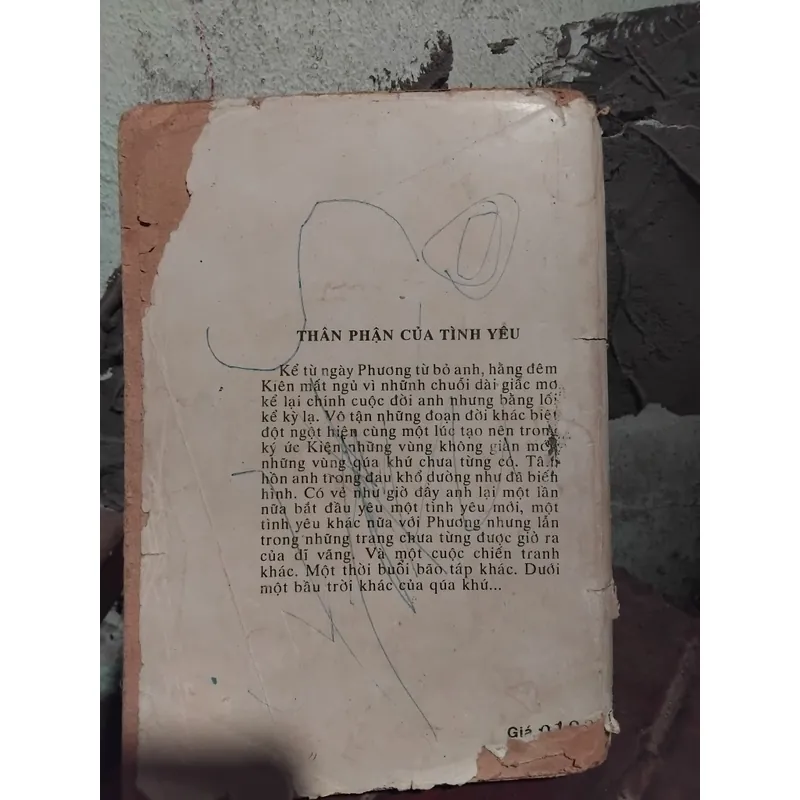 Tiểu thuyết Thân phận của tình yêu ( Nỗi buồn chiến tranh ) của Bảo Ninh  733825