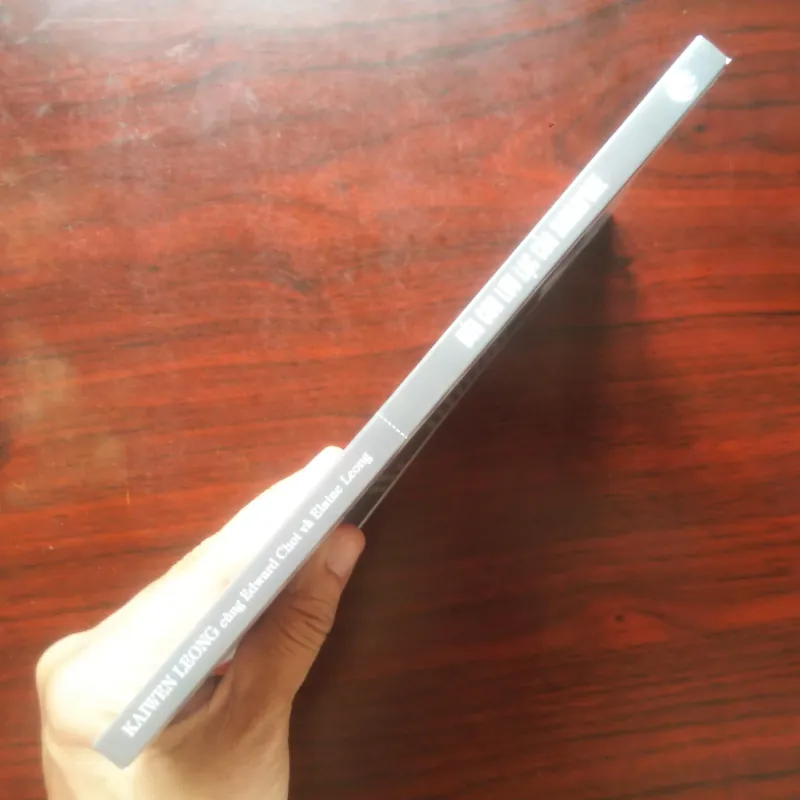 [Sách Kinh Tế] Đứa Con Lưu Lạc Của Singapore (Kaiwen Leong) 930943