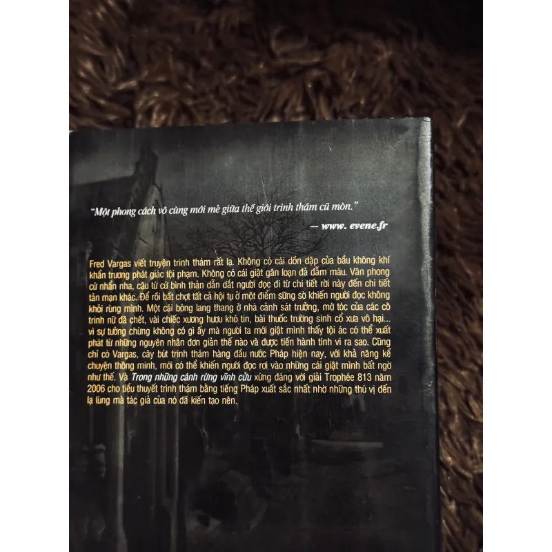 Trong những cánh rừng vĩnh cửu 974692