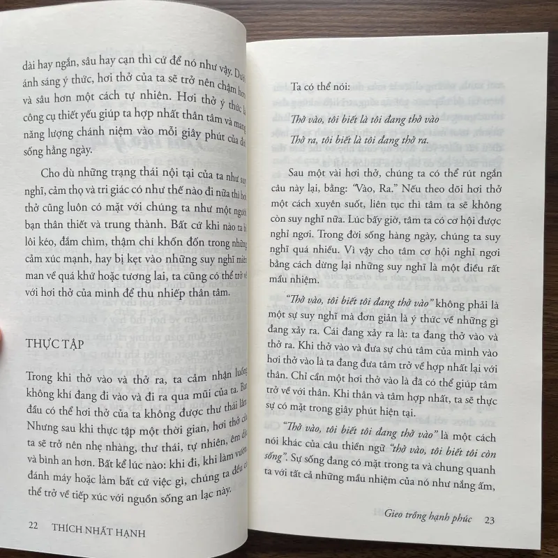 Gieo trồng hạnh phúc - Thích Nhất Hạnh 937380