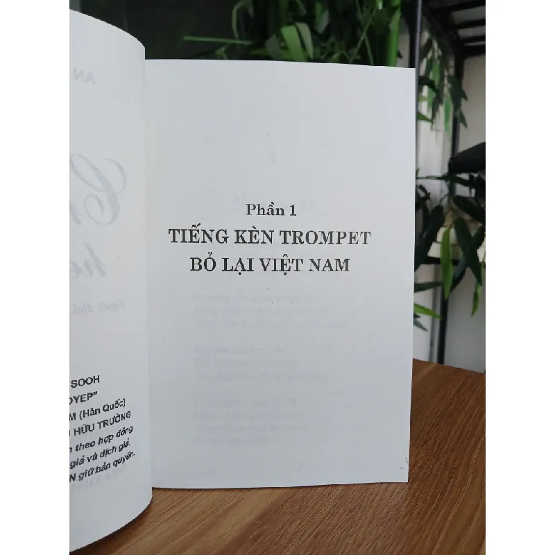 Chiếc lá héo tàn – An Hye Sook 558486