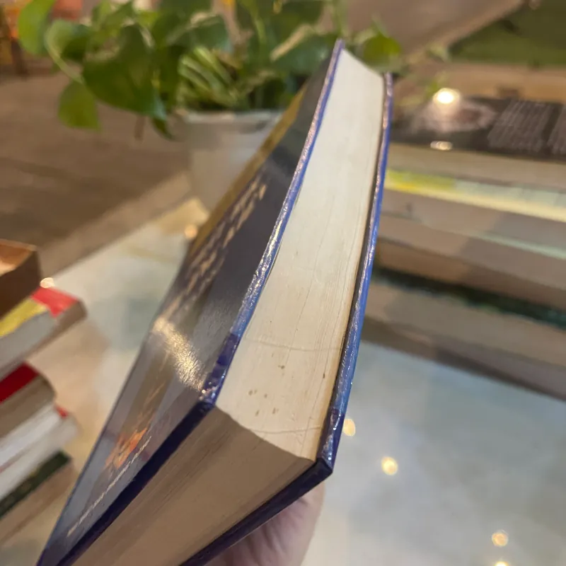 PHẬT HỌC THƯỜNG KIẾN TỪ VỰNG (BÌA CỨNG) - TRẦN NGHĨA HIẾU  1028899