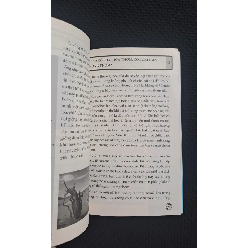 Combo 10 vạn câu hỏi vì sao (sách chữ, 3 cuốn không trùng) 793560