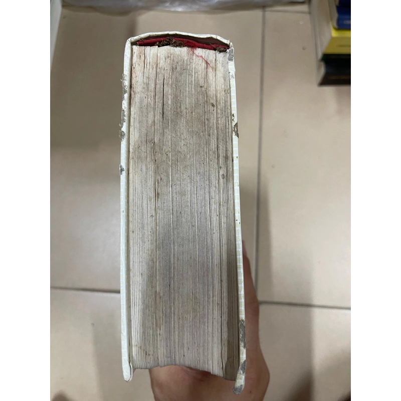 Nguyễn Du về tác giả và tác phẩm  (c43) 500168