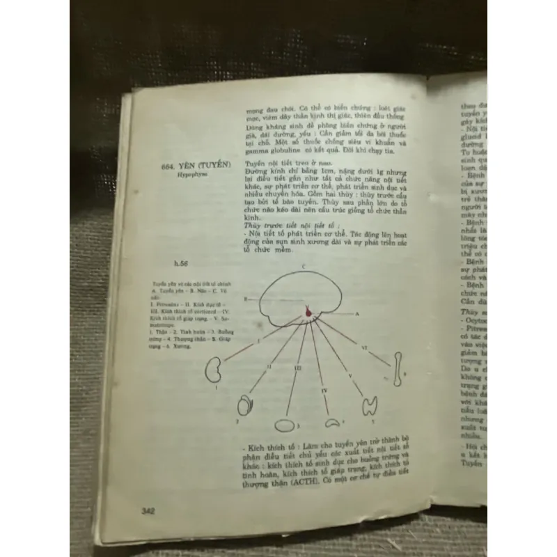 Từ điển y học D' ANDRE DURANTEAU gần 400 trang  800391