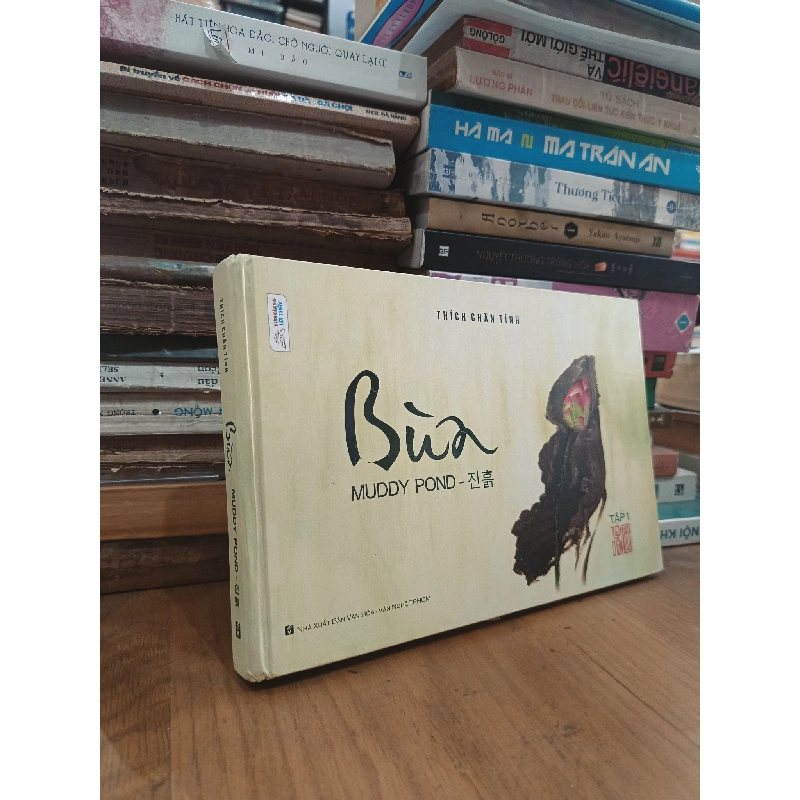 Bùn: Muddy Pond - Thích Chân Tính 998319