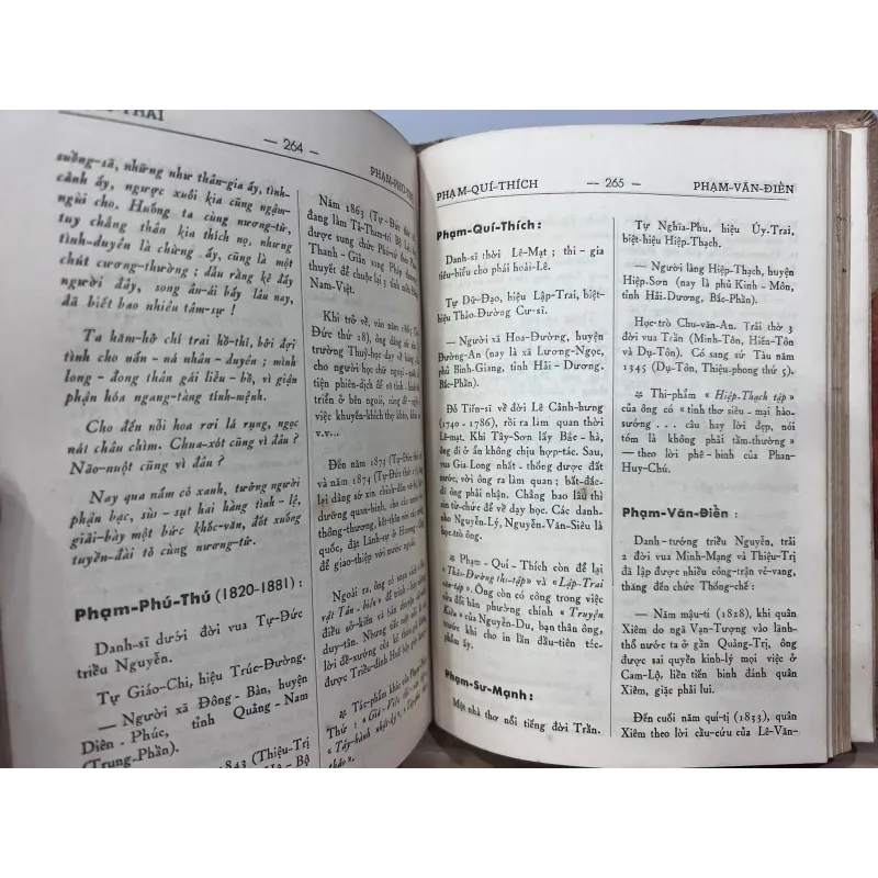 VIỆT NAM DANH NHÂN TỰ ĐIỂN - NGUYỄN HUYỀN ANH 995480