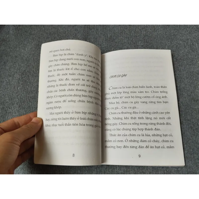 SƠN CA CỦA NÚI RỪNG 720694