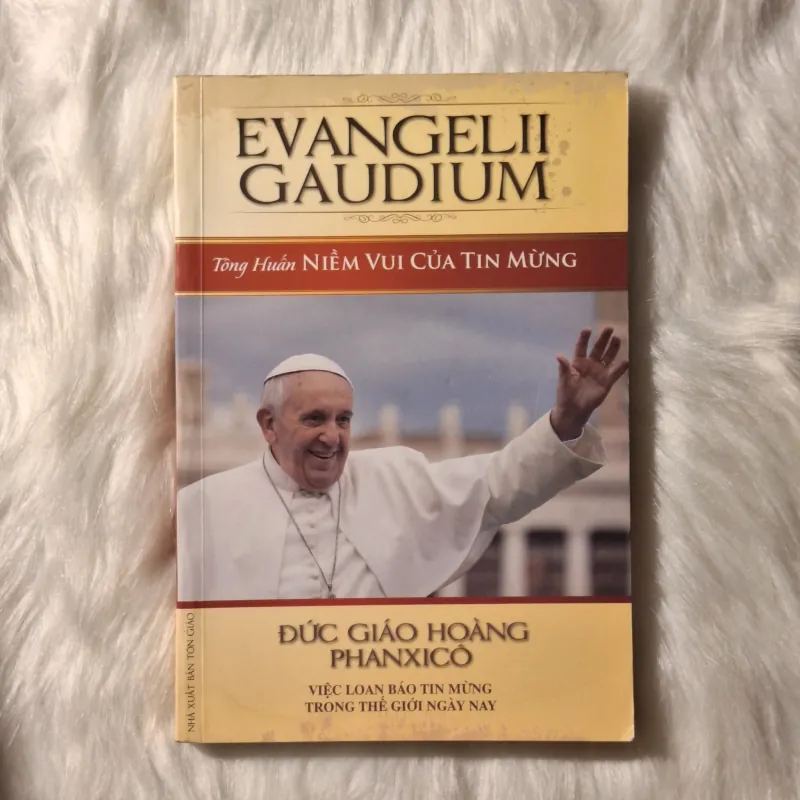 Tông Huấn Evangelii Gaudium 779409