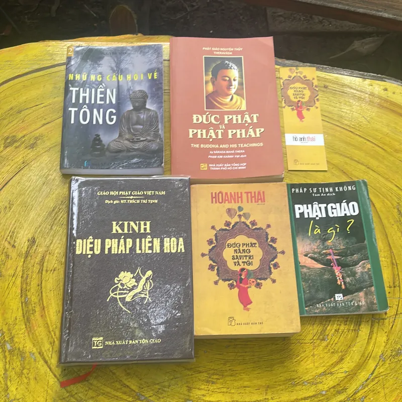 COMBO PHẬT GIÁO: ĐỨC PHẬT NÀNG SAVITRI VÀ TÔI, NHỮNG CÂU HỎI VỀ THIỀN TÔNG, PHẬT PHÁP… 689035