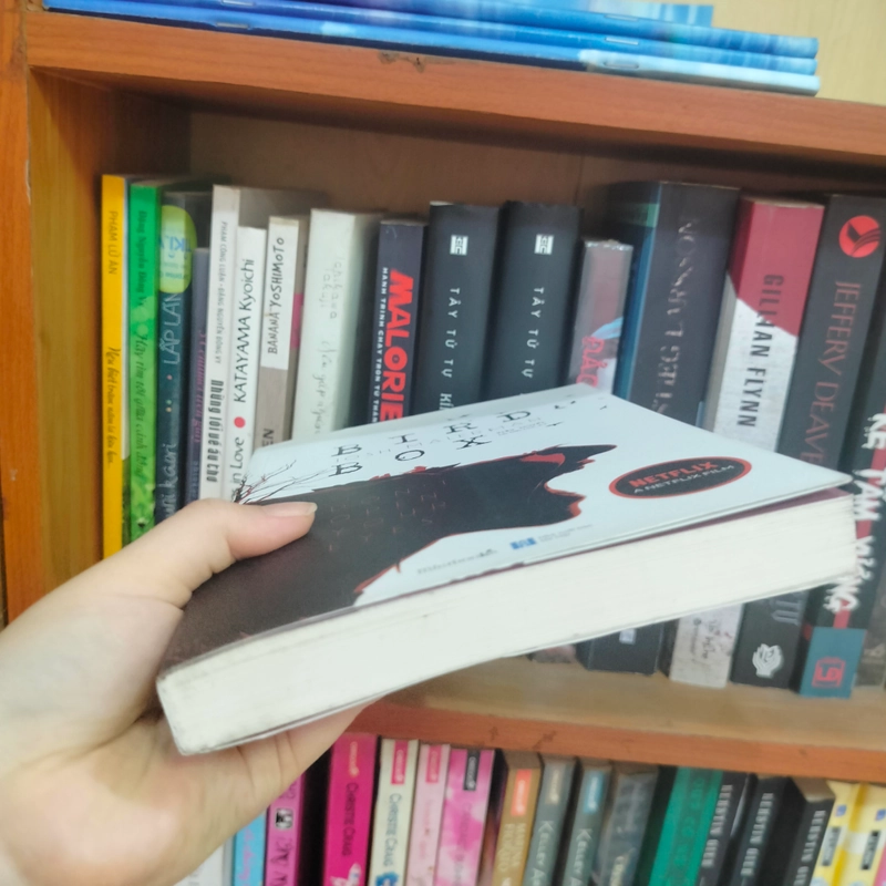 Birdbox sách mới bóc seal 90% 301069