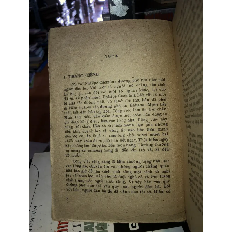 Bóng chim câu trên sóng biển Maiami - Danien Chavaria 789050