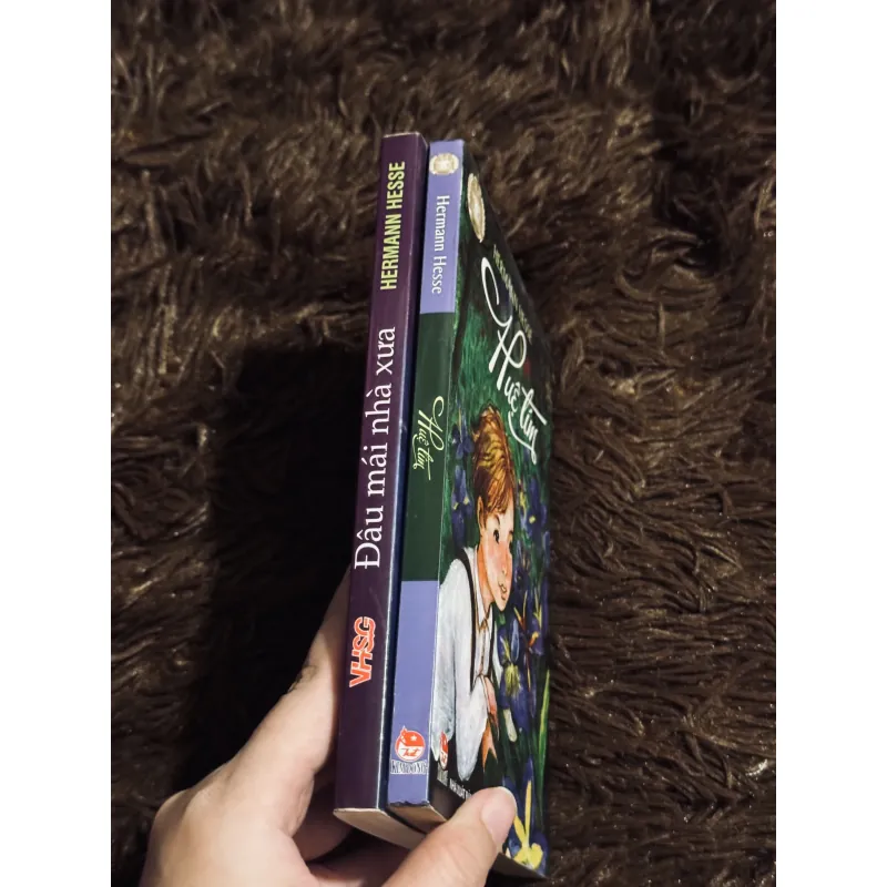 Combo Hermann Hesse 1031592