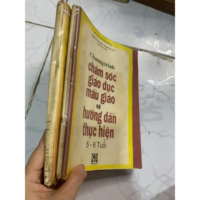Chăm sóc giáo dục mẫu giáo  và hướng dẫn thực hiện 732144