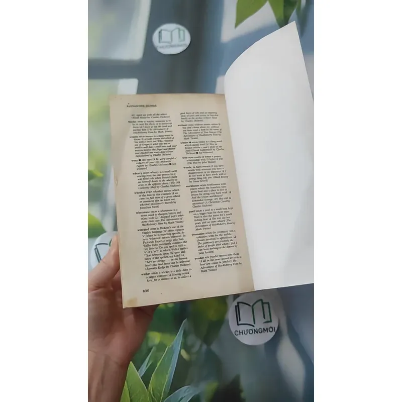 [MIỄN PHÍ BỌC SÁCH] The Three Musketeers - Alexandre Dumas 1027493