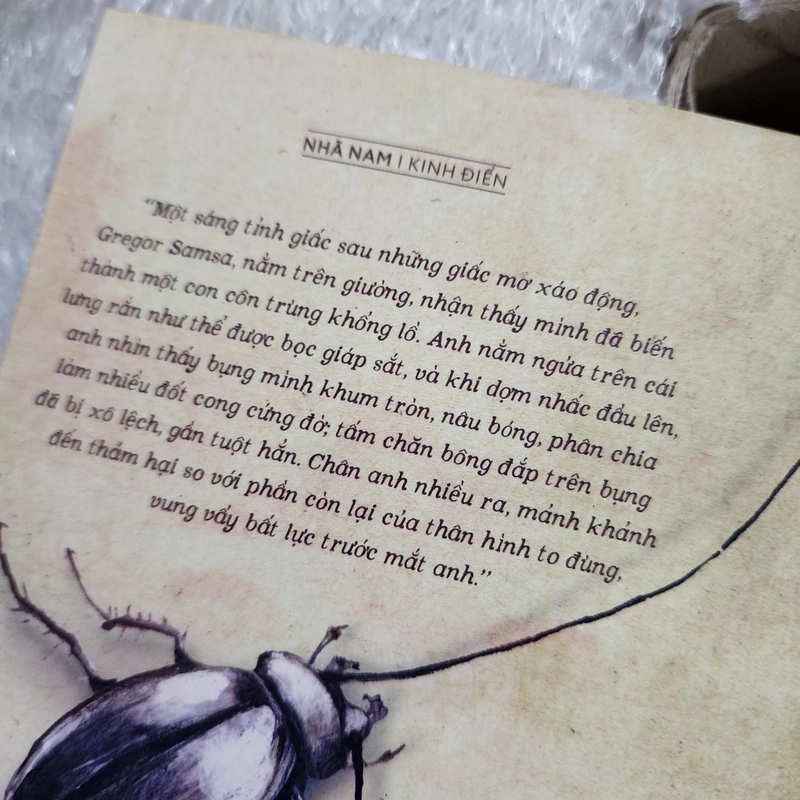 Hóa thân | Franz Kafka  460003