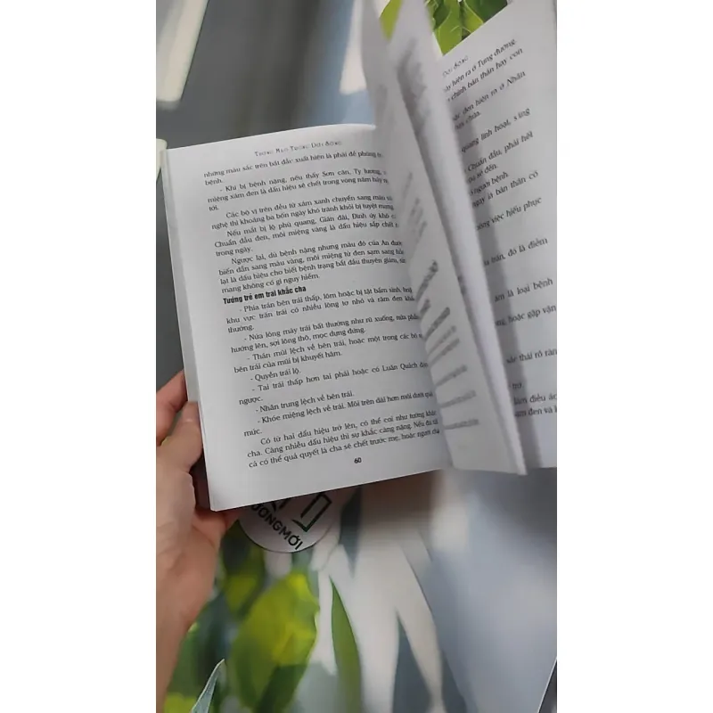 Tướng Mạo Trong Cuộc Sống - Thái Uyên & Hà Thiên 776128