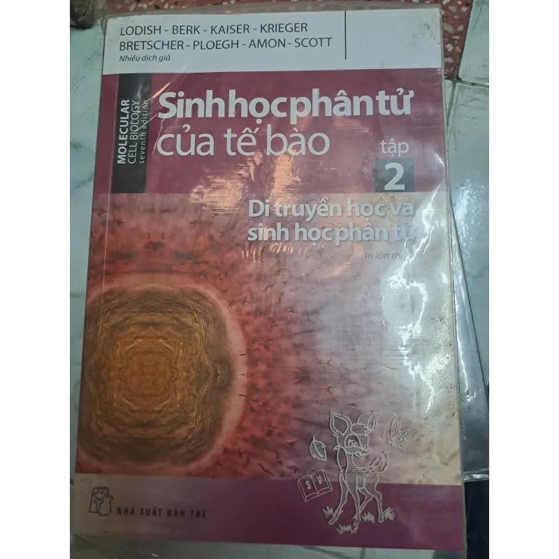 Sách Sinh Học phân tử của tế bào tập 2 - Nhiều Dịch Giả, Bìa Mềm, Ống Đứng 696912
