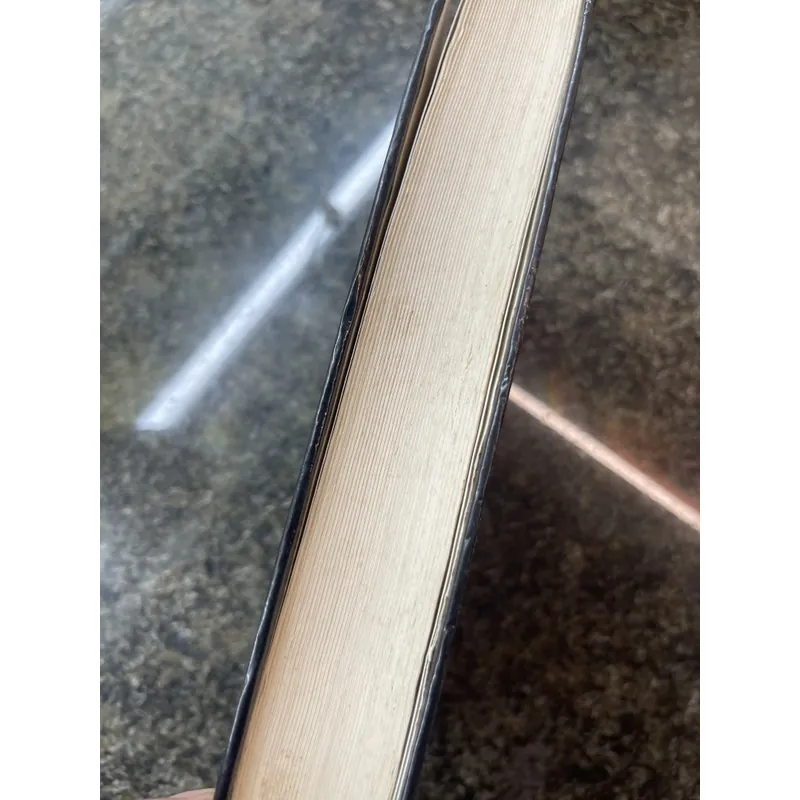 Bông hồng vàng & bình minh mưa K. Pauxtopxki 697942