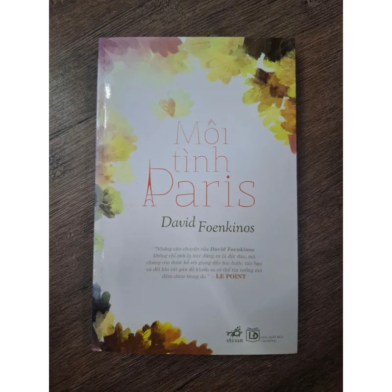 Mối tình Paris - David Foenkinos - Tiểu thuyết lãng mạn 755037