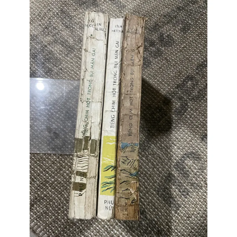 Tiếng chim hót trong bụi mận gai  1030049