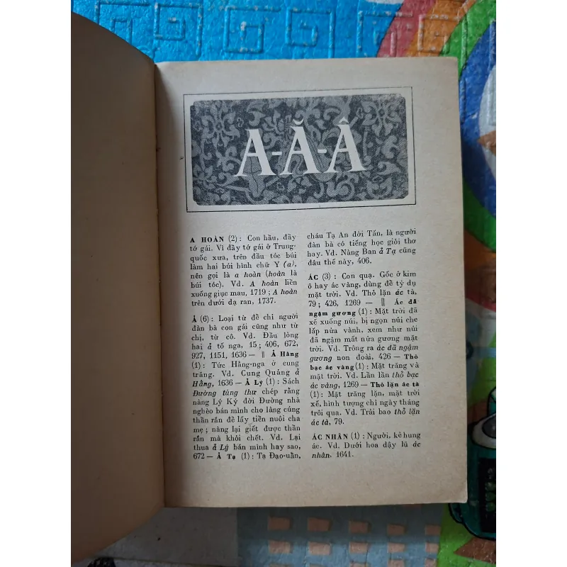 Từ điển Truyện Kiều - Đào Duy Anh 1001645