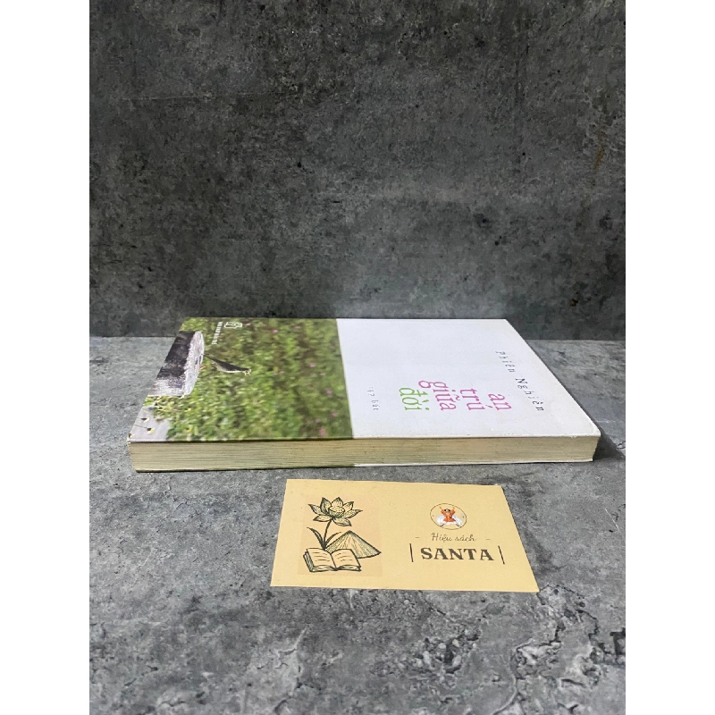 An trú giữa đời- Phiên Nghiên- sách mới 80% 789684