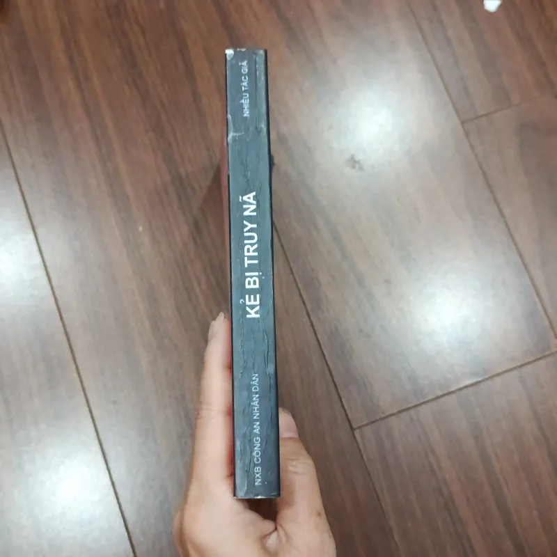 Kẻ bị truy nã 932301