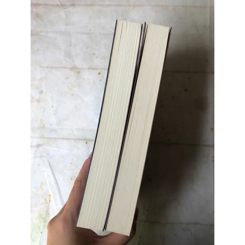 Trọn bộ 2 tập David Copperfield - Charles Dickens 757822