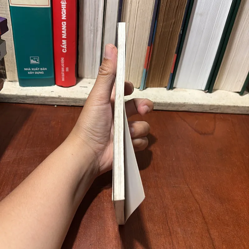 II Cung Hoàng Đạo: Một Cách Nhìn Về Cuộc Đời _ Xử Nữ - Nam Việt, Khánh Linh - 2009 723274