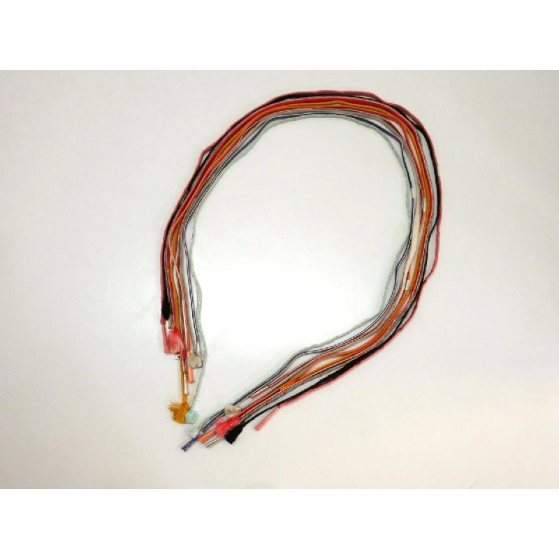 Bộ 10 dây đai - Hàng hiệu Authentic 875940