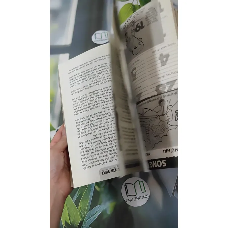 Tìm Thấy & Lại Mất 1018877