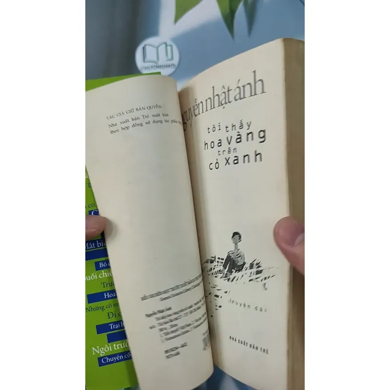 Tôi Thấy Hoa Vàng Trên Cỏ Xanh - Nguyễn Nhật Ánh 798349