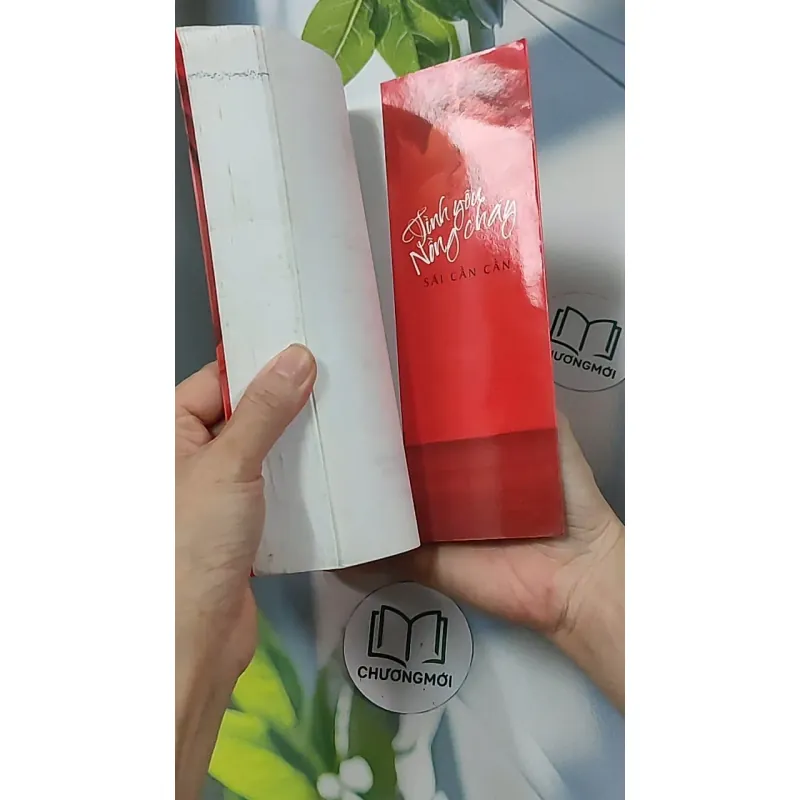 Tình yêu nồng cháy - Sái Cần Cần 688658