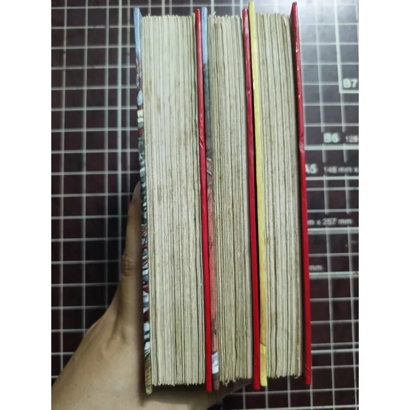 Vương triều sụp đổ & Huyền Trân công chúa & Bão táp cung đình - Hoàng Quốc Hải 731177