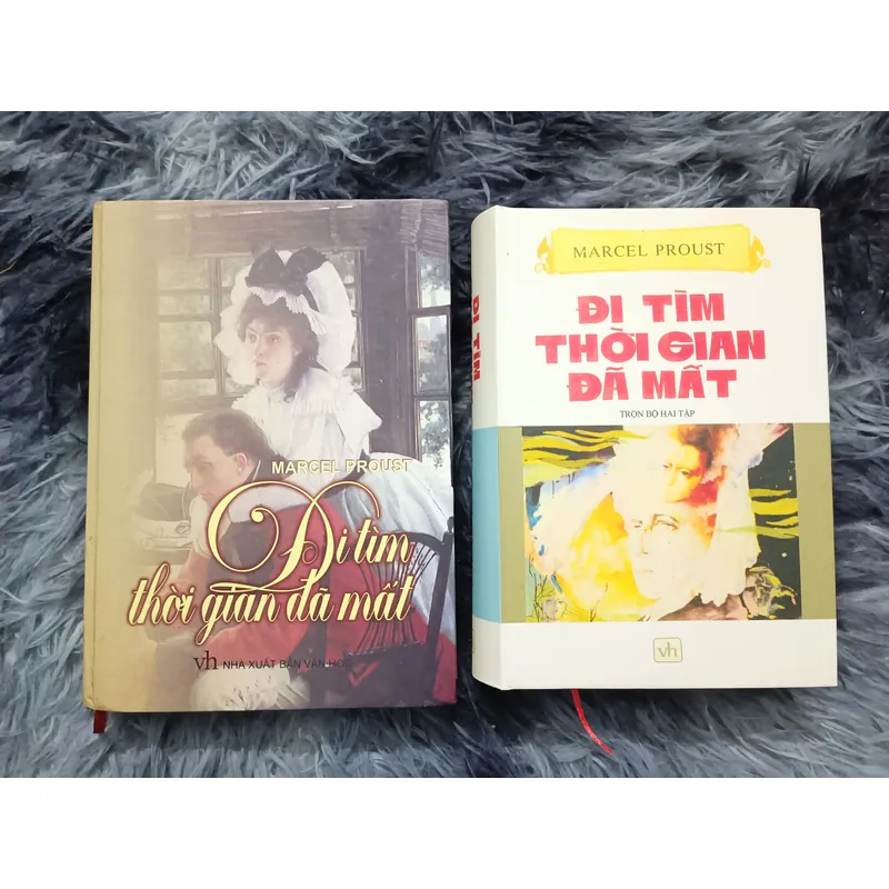 Đi tìm thời gian đã mất (Marcel Proust) 675603