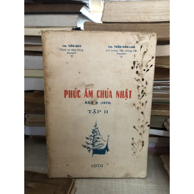 Phúc âm Chúa Nhật 995100