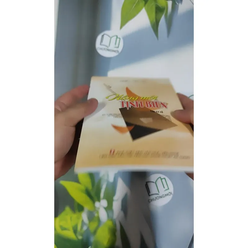 Nắng Mới Tịnh Biên - Tập Ca Cổ 798450