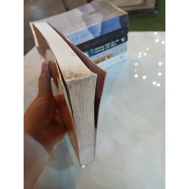 NÀNG PHÙ THỦY THÀNH FLORENCE - SALMAN RUSHDIE (NGUYỄN THỊ HIỀN THẢO DỊCH) 1032944