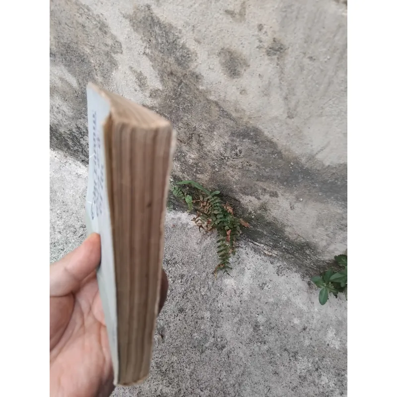 Tây Dương Gia Tô bí lục  1006735