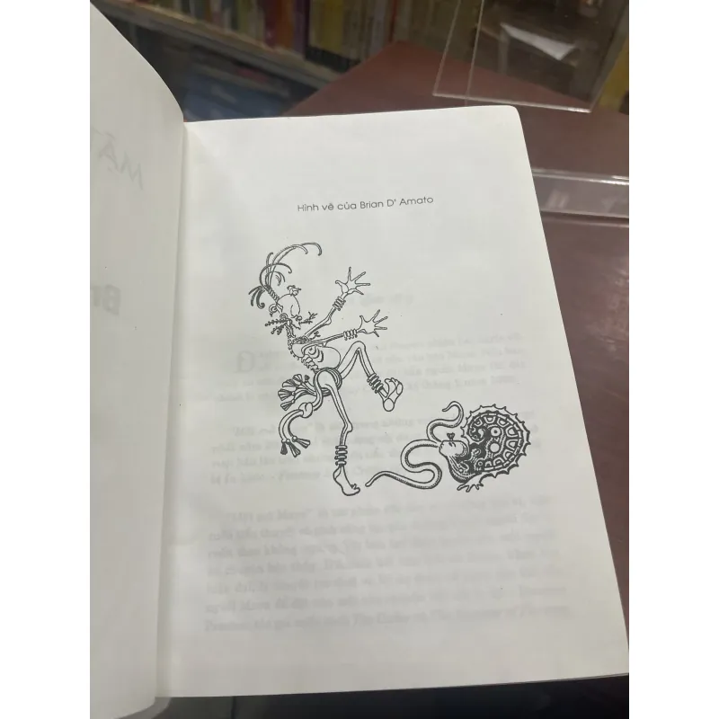 MẬT MÃ MAYA - BRIAN D’AMATO 935417