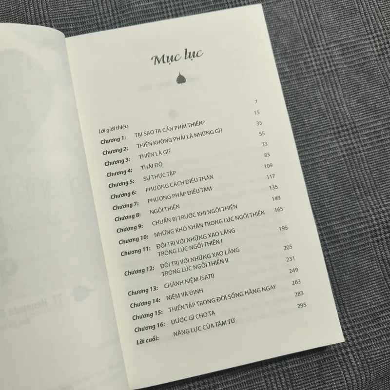 Chánh niệm - Thực tập Thiền quán - TT. Henepola Gunaratana - Dịch giả Nguyễn Duy Nhiên 606547