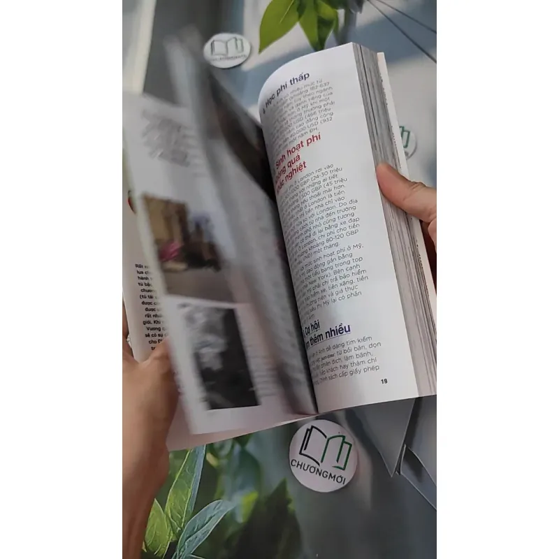 Vút bay đến bầu trời xanh nước Anh - Hoa Học Trò 1018817